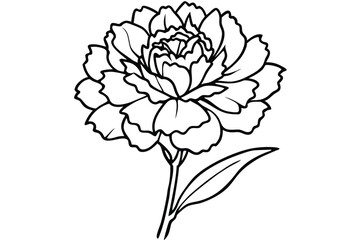 carnation flower silhouette line art vector illustration