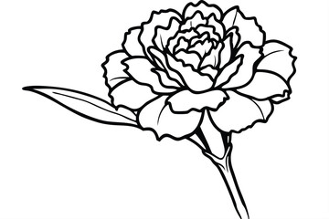 carnation flower silhouette line art vector illustration