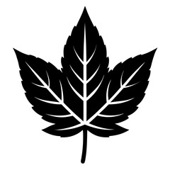 Simple leaf silhouette