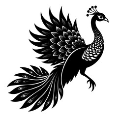 Fototapeta premium Elegant black and white peacock