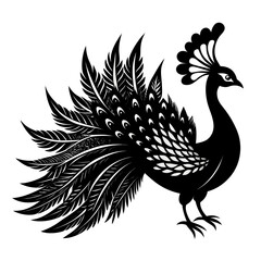 Fototapeta premium Black and white peacock silhouette