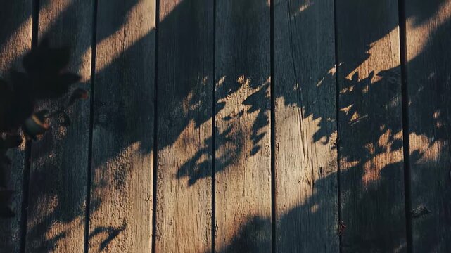 Sun casting intricate leaf shadows on a rustic wooden wall, creating a natural organic texture background with warm light and dark contrasting patterns for various design uses