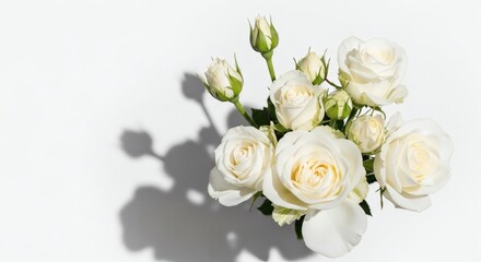 Obraz premium White Roses Bouquet on White Background.