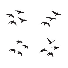 Fototapeta premium Flying Bird Vector Silhouette Black and WhiteMinimal Bird in Flight Illustration SetAbstract Flying Bird Shape Vector