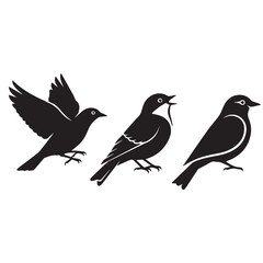 Obraz premium Birds Icons Vector Silhouette Black and WhiteMinimal Bird Logo Illustration Set VectorAbstract Bird Icon Black White Vector