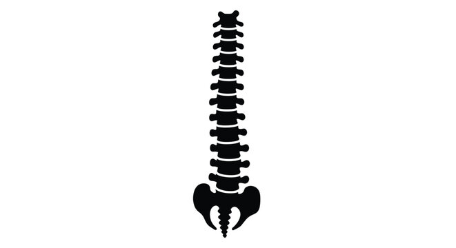 Black silhouette of a human spinal column against a white background