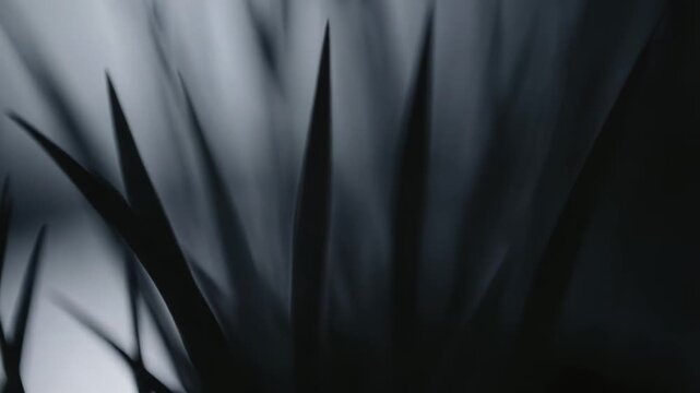 Wild plant stalks creating a calm and delicate natural background, showcasing subtle textures and an ethereal softness with a shallow depth of field in a serene blueish grey tone
