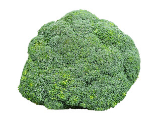 Fresh green broccoli vegetable.