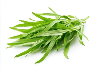 Fresh tarragon sprigs with slender green leaves isolated on white