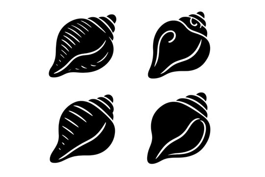 Four distinct black and white tropical sea shells and conch shells graphic elements