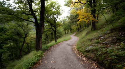 Fototapeta premium A winding dirt path meanders up an autumn hillside through a forest with colorful foliage