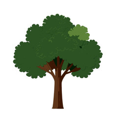 green tree isolated on white