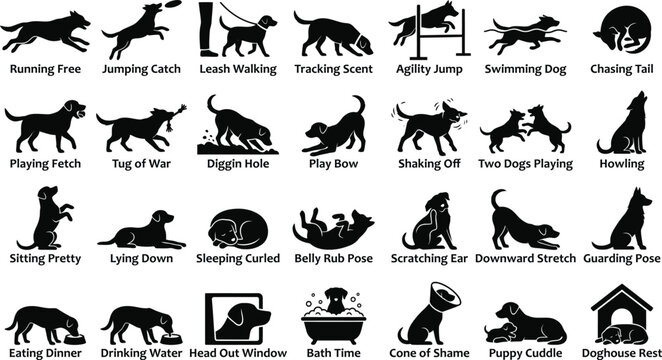 Dog Behaviors and Canine Activity solid icon set. Featuring icons for Running Free, Jumping Catch, Leash Walking, Tracking Scent, Agility Jump, and Puppy Cuddle