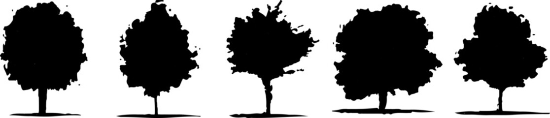 High definition collection Tree isolated on a white background