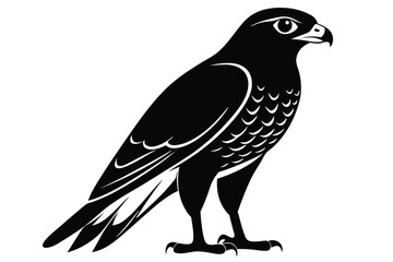 Obraz premium eurasian sparrowhawk silhouette line art vector illustration