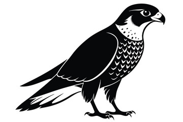 Fototapeta premium eurasian sparrowhawk silhouette line art vector illustration