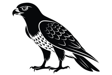 Obraz premium eurasian sparrowhawk silhouette line art vector illustration