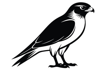 eurasian sparrowhawk silhouette line art vector illustration