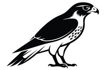 Obraz premium eurasian sparrowhawk silhouette line art vector illustration