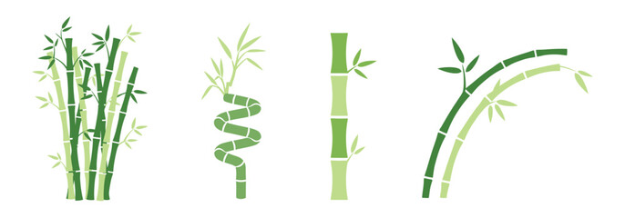 Collection of green bamboo stalk illustrations including straight, curved, and lucky bamboo styles. Tropical botanical elements for spa and wellness. © Lili