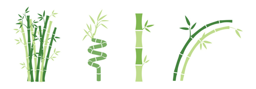 Collection of green bamboo stalk illustrations including straight, curved, and lucky bamboo styles. Tropical botanical elements for spa and wellness.