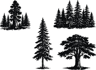 tree silhouette, coniferous trees, deciduous tree, forest illustration, black and white, nature vector, tree group, single tree, tree design, tree artwork, tree drawing,  © MdJahid