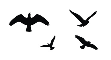 Fototapeta premium Four birds in flight against a white background a striking silhouette