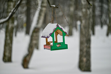 Feeder for birds hung on a tree branch in winter park