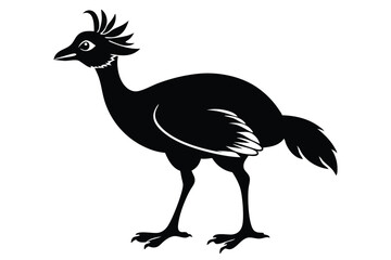 Fototapeta premium curassow silhouette line art vector illustration