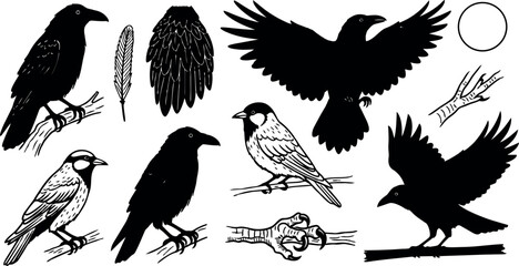 Obraz premium Black and white vector art of perched and flying crows with detailed feathers, talons, branches, and full moon silhouette in minimal style