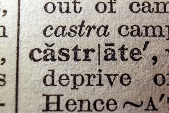 Word business printed on dictionary page, macro close up
