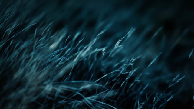 Wild grass blades are forming an abstract pattern against a softly blurred dark teal and blue background, representing nature's calm and organic beauty
