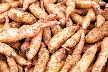 Fototapeta premium A closeup shot of a pile of potatoes. Fresh sweet potato piled on the market. Food background. Harvest. Healthy eating. Sweet potatoes corms. Sweet potato also known as Ipomoea batatas as its scientif