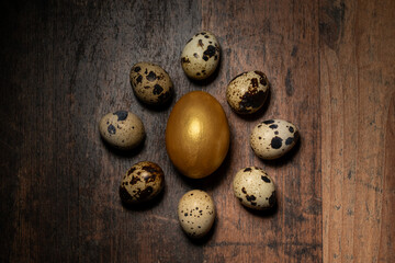 Fototapeta premium Circle of quail eggs around one dominant golden egg on a dark wooden background