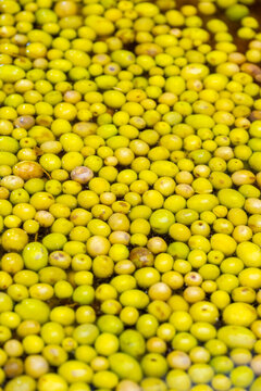 Fresh and natural green olive  close up texture background. Green olives sold in the grocery store. The olive is a species of subtropical evergreen tree in the family Oleaceae. Originating in Asia Min
