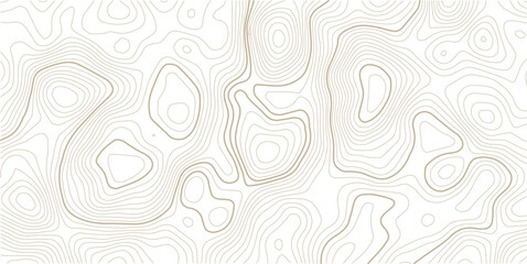 Seamless Light topographic topo contour map background, vector illustration .. Modern design with White background with topographic wavy pattern design.paper texture Imitation of a geographical map. © MITA