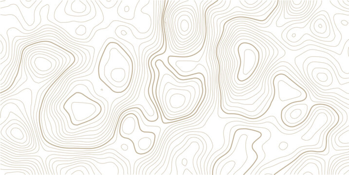Seamless Light topographic topo contour map background, vector illustration .. Modern design with White background with topographic wavy pattern design.paper texture Imitation of a geographical map.