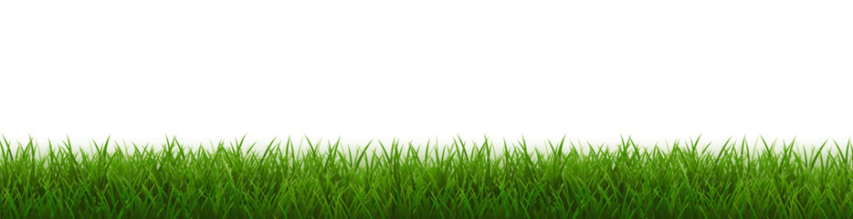 Fototapeta premium Grass Border And White Background