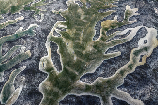 Aerial view of the stark contrast between the dry, cracked earth and the vibrant green vegetation, creating an intricate natural tapestry, Villamayor de Gallego, Zaragoza, Spain.