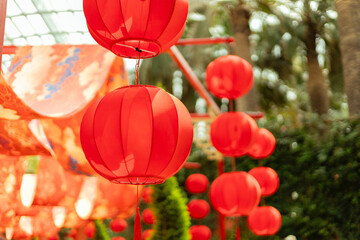 Fototapeta premium Bright red lanterns are seen hanging in a garden. They are part of a festival decoration. Green plants surround the lanterns, creating a lively setting