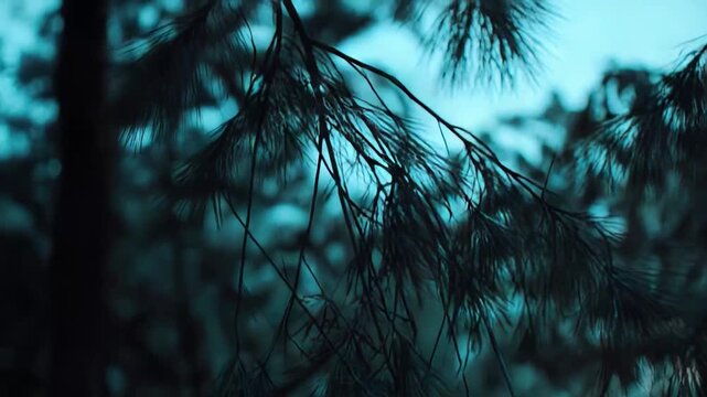 Pine tree needles creating a natural pattern in foreground, blurring into a teal and dark blue background, evoking a mystical and mysterious forest atmosphere