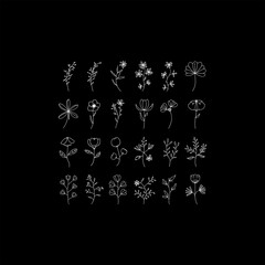 floral ornament on black background photo bundle.