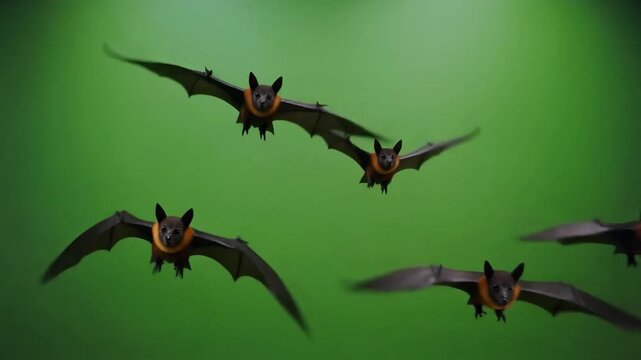 Group of bats flying rapidly in front of a plain green chroma key background, cinematic studio lighting, 4k production asset.