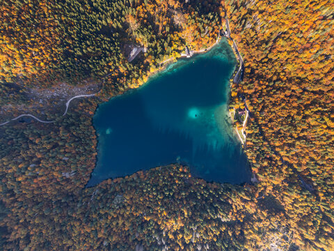 Aerial view of a jewel-toned lake nestled amidst a vibrant tapestry of autumn foliage, where the water reflects the sky's azure hue, Sauris, Friuli-Venezia Giulia, Italy.