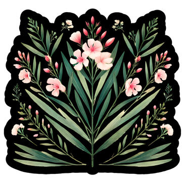 Oleandar evergreen shrub toxic flower poison garden botanical illustration Nerium oleander Adelfa