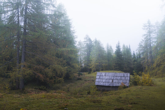 Aerial view of a lonely wooden cabin nestled amongst a dense forest, shrouded in mist and mystery, Soca, Tolmin, Slovenia.