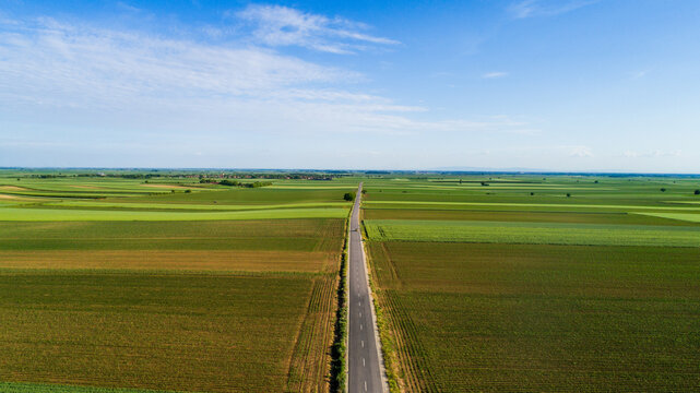 Aerial view of a long road cutting through a patchwork of vibrant green and golden fields under a serene sky, Novi Sad, Vojvodina, Serbia.