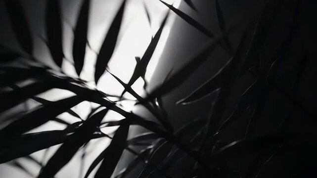 Palm leaves in monochrome silhouette are creating abstract patterns and geometric shapes against a brightly lit background, highlighting the interplay of light and shadow in nature