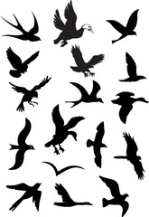 OISEAUX ET VOLATILES.eps