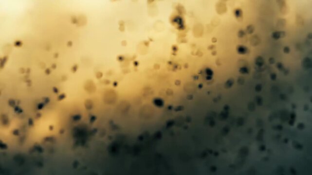 Dust particles flying and scattering through the air against a gradient background, creating an abstract texture of movement, atmospheric effects, and environmental elements